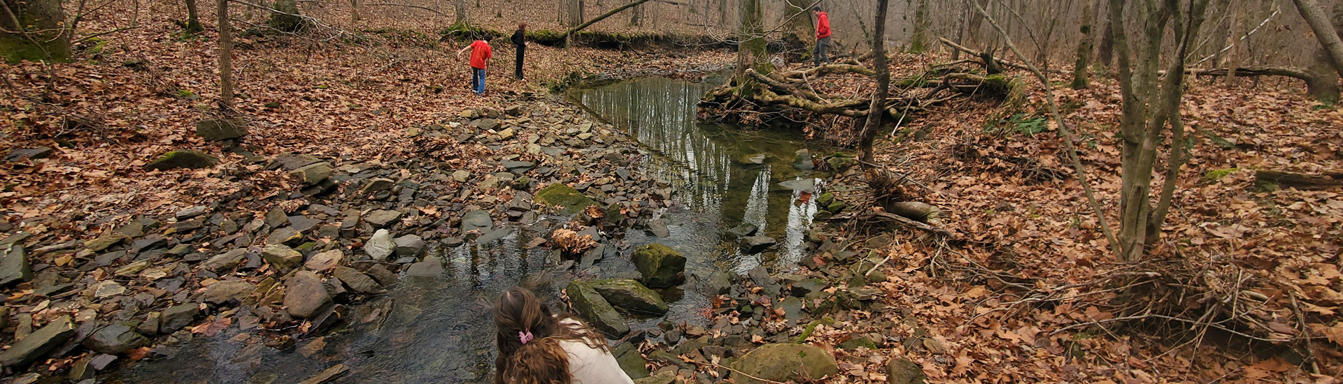 Private stream access for your Romantic Shawnee Forest Getaway